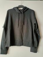Zwarte Cropped Hoodie - Maat XXL / NIEUW!, Zwart, Maat 46/48 (XL) of groter, Nieuw, Ophalen of Verzenden