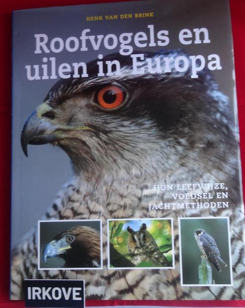 ROOFVOGELS EN UILEN IN EUROPA * Henk van den Brink *, Boeken, Natuur, Zo goed als nieuw, Vogels, Verzenden