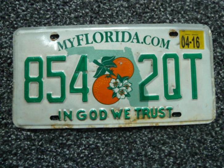 Kentekenplaat licenseplate Florida In God We Trust USA, Verzamelen, Automerken, Motoren en Formule 1, Gebruikt, Auto's, Verzenden