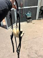 Kavalkade 5-punts borstuig bruin full, Dieren en Toebehoren, Ophalen of Verzenden, Nieuw, Springen