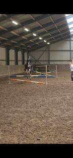 verzorg pony gezocht / Verzorger aangeboden, Ophalen of Verzenden, Zo goed als nieuw