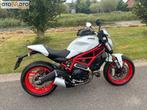 DUCATI MONSTER 797 (bj 2018)km 4540, 2 cilinders, Bedrijf, Meer dan 35 kW, 803 cc