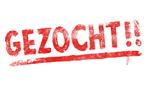Schoonebeeker ram gezocht, Dieren en Toebehoren, Schapen, Geiten en Varkens, Mannelijk, Schaap