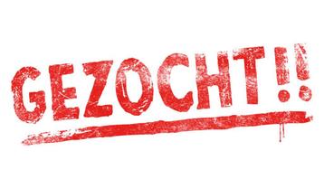 Schoonebeeker ram gezocht  beschikbaar voor biedingen