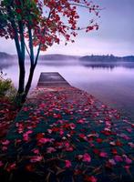 Schilderen op nummer pier vlonder meer herfst NIEUW, Ophalen of Verzenden, Nieuw, Schilderen op nummer