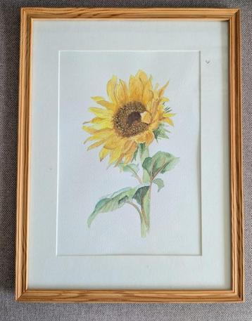 Te koop: handgeschilderde aquarel van zonnebloem beschikbaar voor biedingen