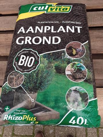 Aanplantgrond beukengrond beschikbaar voor biedingen