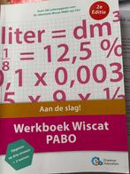 Werkboek Wiscat PABO - Rekentoets voor PABO studenten, Boeken, Studieboeken en Cursussen, Ophalen of Verzenden, Zo goed als nieuw