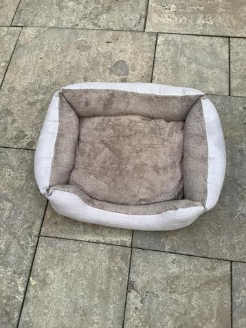 Honden / Katten mand beschikbaar voor biedingen