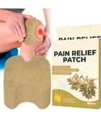 Wellnee pijn verlichtende pleisters 2x 10 stuks. Nieuw, Ophalen of Verzenden, Nieuw