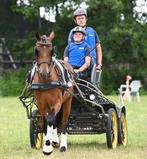 Kunstof tuig cob, Dieren en Toebehoren, Ophalen of Verzenden, Gebruikt, Overige soorten