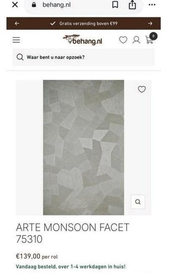 Arte Facet Monsoon 75310 zilver behang beschikbaar voor biedingen
