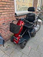 Mango, Ophalen of Verzenden