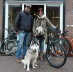 Rusteloos? Te veel energie? Ga steppen met je hond!, Ophalen of Verzenden, Nieuw