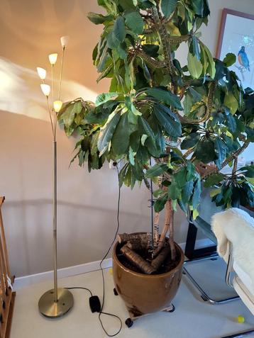 Jan des Bouvrie Staande Lamp beschikbaar voor biedingen