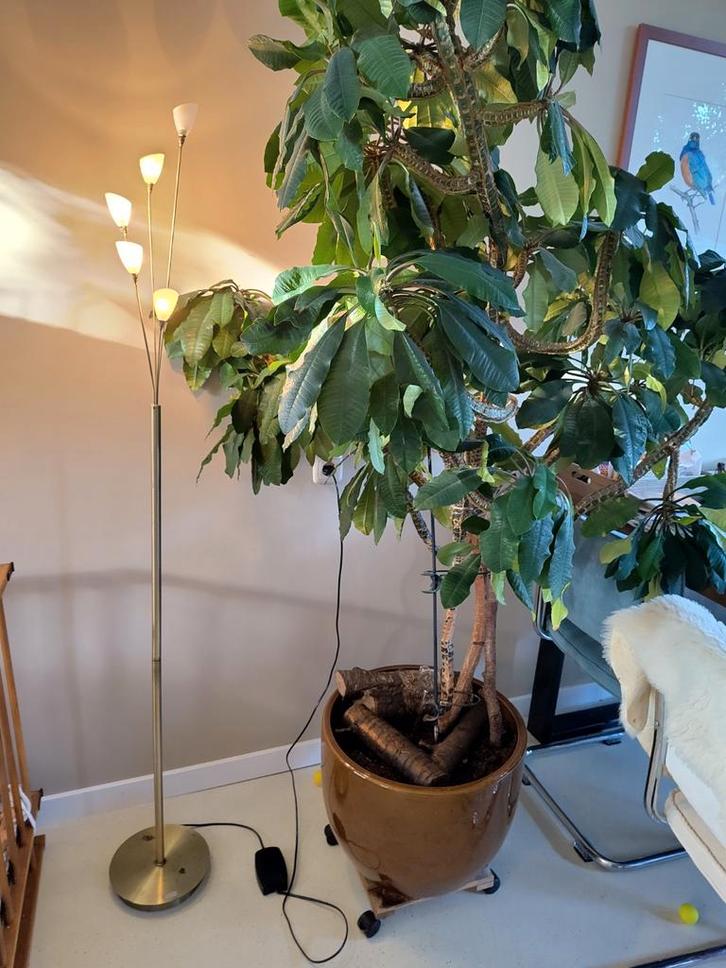 Jan des Bouvrie Staande Lamp, Huis en Inrichting, Lampen | Vloerlampen, Gebruikt, 150 tot 200 cm, Glas, Metaal, Ophalen