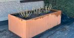 Cortenstale bak, Tuin en Terras, Overige materialen, 100 cm of meer, Vierkant, Ophalen of Verzenden