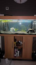Juwel aquarium.    1 meter, Dieren en Toebehoren, Ophalen of Verzenden, Zo goed als nieuw, Leeg aquarium