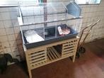 Groot konijnen cavia hok kooi, Minder dan 60 cm, Kooi, Ophalen of Verzenden, Zo goed als nieuw