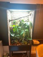 Terrarium, Ophalen of Verzenden, Zo goed als nieuw