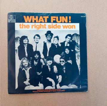 What Fun! - The Right Side Won beschikbaar voor biedingen