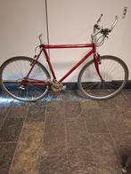 Jan Janssen Hybride  Progress- Opknapper!, Gebruikt, 57 cm of meer, Heren, Geen vering