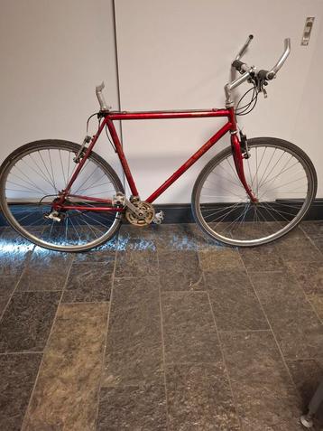 Jan Janssen Hybride  Progress- Opknapper! beschikbaar voor biedingen