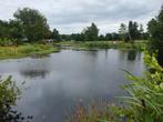 Graskarpers of karpers gevraagd voor onze vijver., Dieren en Toebehoren, Vissen | Vijvervissen, Karper of Koi