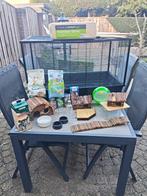 Hamsterkooi, met spullen, Dieren en Toebehoren, Hamster, April, Mannelijk, Tam