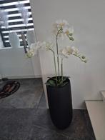 Zwarte pot 70cm hoog zonder plant, Steen, 50 tot 75 cm, Zwart, Ophalen of Verzenden