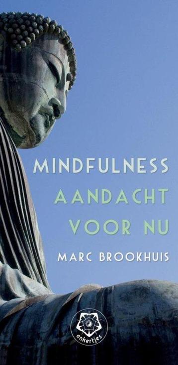 Marc Brookhuis Mindfulness Aandacht voor Nu beschikbaar voor biedingen