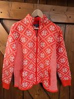 Vest Bloomings Amsterdam Wintersport skieen, Kleding | Dames, Truien en Vesten, Ophalen of Verzenden, Zo goed als nieuw, Maat 46/48 (XL) of groter