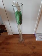Hoge vaas met orchidee, Huis en Inrichting, Woonaccessoires | Vazen, Overige kleuren, Ophalen of Verzenden, 75 cm of meer, Glas