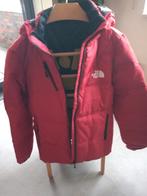 Heren jas (winter), Ophalen of Verzenden, Nieuw, Maat 48/50 (M), Rood