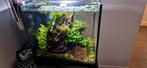 Superfish Qubiq 30 Pro Zwart, Dieren en Toebehoren, Vissen | Aquaria en Toebehoren, Ophalen of Verzenden, Zo goed als nieuw, Leeg aquarium
