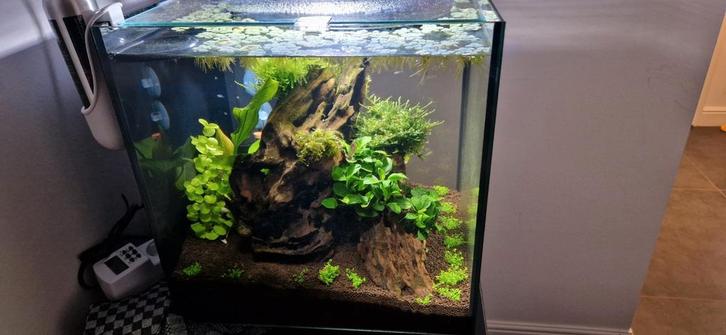 Superfish Qubiq 30 Pro Zwart, Dieren en Toebehoren, Vissen | Aquaria en Toebehoren, Zo goed als nieuw, Leeg aquarium, Ophalen of Verzenden