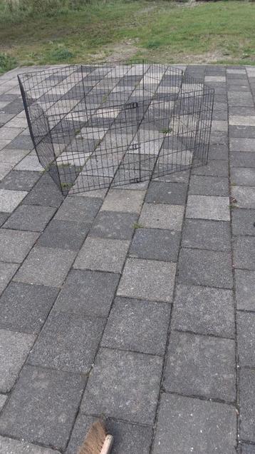 Konijnen Ren, Kippen Ren, schildpadden buiten verblijf  beschikbaar voor biedingen