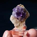 fluoriet uit berbes #10, Ophalen of Verzenden, Mineraal