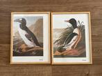 Fotolijsten met eend/pinguïn, Huis en Inrichting, Woonaccessoires | Lijsten, Minder dan 50 cm, Nieuw, Ophalen of Verzenden, Minder dan 50 cm