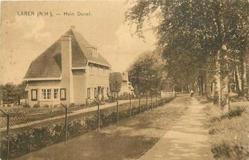 (300-160-009) Laren Hein Duvel beschikbaar voor biedingen