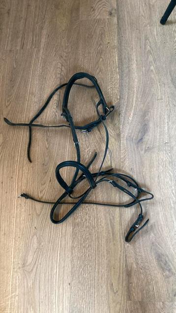 Paardenhoofdstel beschikbaar voor biedingen