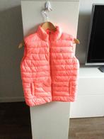 Nieuwe bodywarmer maat 158-164, Kinderen en Baby's, Kinderkleding | Maat 158, Verzenden, Nieuw, Meisje, Jas