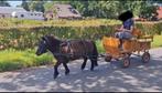Leuke kar voor shetlander, Dieren en Toebehoren, Ophalen, Gebruikt, Overige soorten