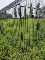 Konijnenren kippenren loopren Gijs WK10 nieuw te koop, 110 cm of meer, Nieuw, Ophalen of Verzenden, 90 cm of meer