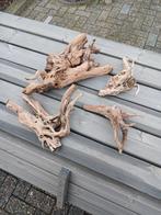 Kienhout ( aquarium), Dieren en Toebehoren, Vissen | Aquaria en Toebehoren, Ophalen, Plant(en), Steen of Hout