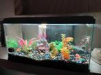Aquarium, Dieren en Toebehoren, Vissen | Aquaria en Toebehoren, Ophalen, Gebruikt, Gevuld zoetwateraquarium