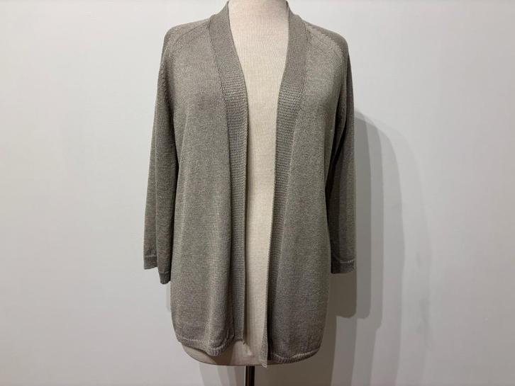Nieuw grijs Knitted Knit-ted vest maat XL, Kleding | Dames, Truien en Vesten, Nieuw, Maat 46/48 (XL) of groter, Grijs, Verzenden