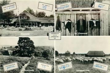 (387-110-057) Epe De Ossenstal beschikbaar voor biedingen