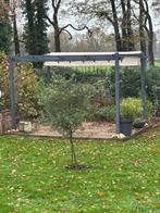 Terrasoverkapping, Tuin en Terras, Overkappingen, Ophalen, Nieuw, Tuinpaviljoen