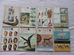 Memo - Maandblad voor populaire algemene ontwikkeling 8x, Boeken, Tijdschriften en Kranten, Ophalen of Verzenden, Zo goed als nieuw